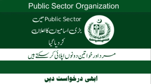 A Reputed Public Sector is Hiring for Professionals